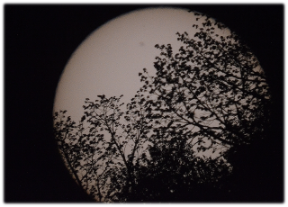 sun eclipsed by trees